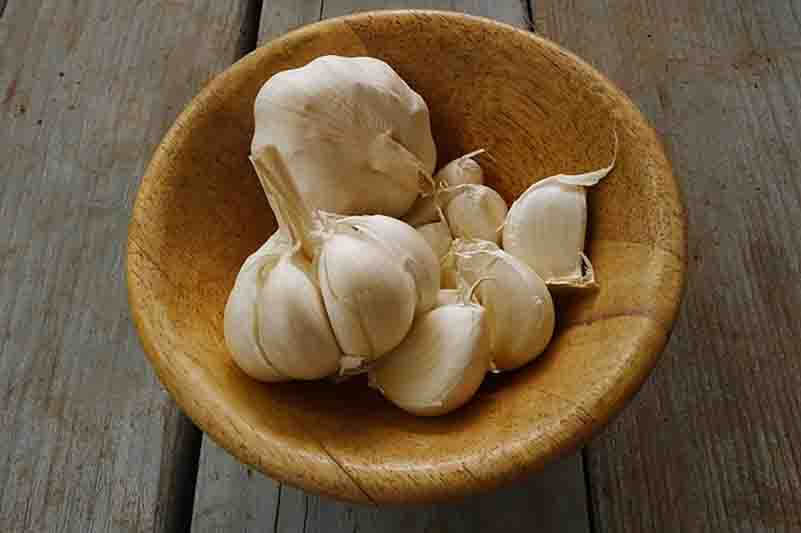 garlic and lose weight